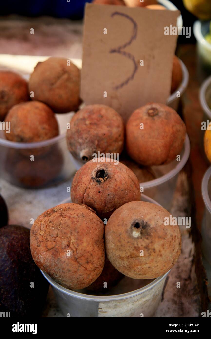 salvador, bahia, brazil - june 18, 2021: genipapo fruit is seen for sale at a free fair in the city of Salvador. *** Local Caption *** Stock Photo