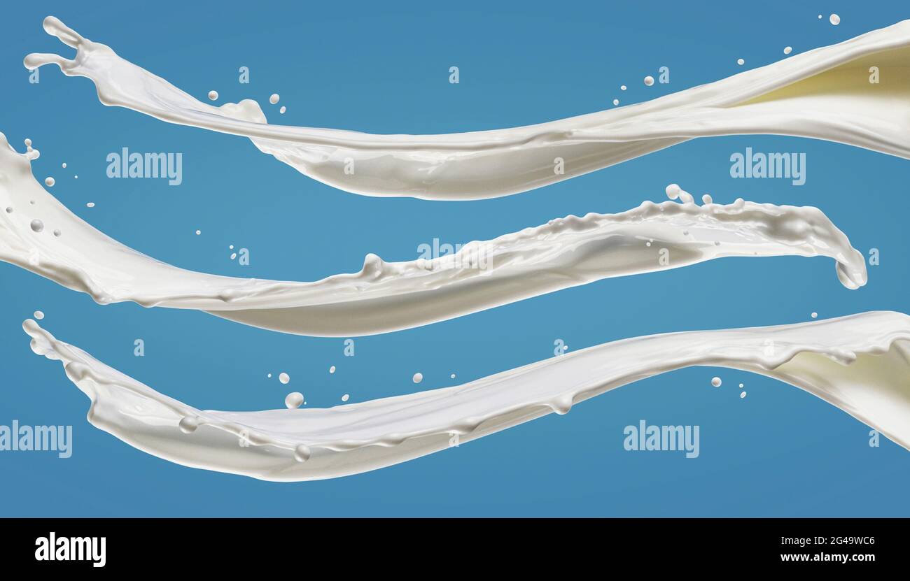 Milk splashes isolated on blue background Stock Photo