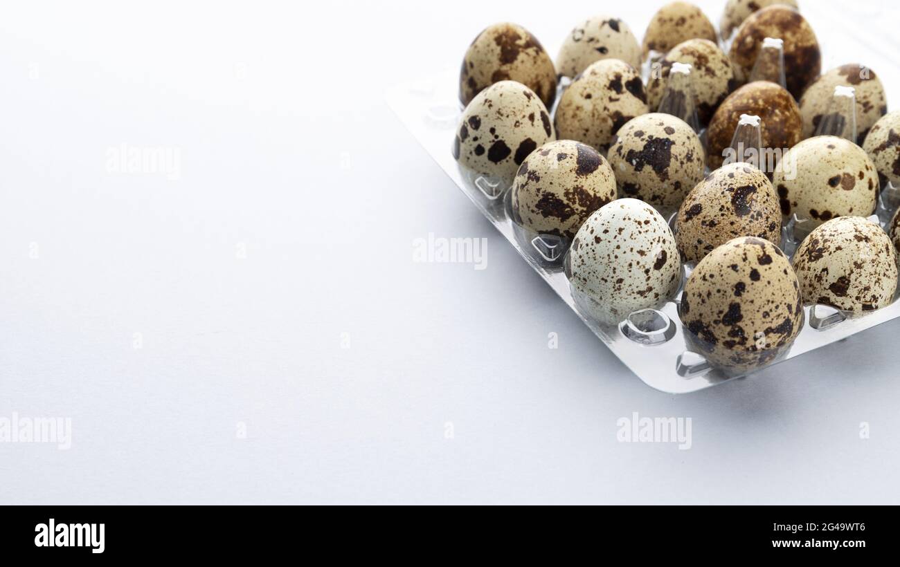 Fresh quail eggs isolated on white background with copy space Stock Photo