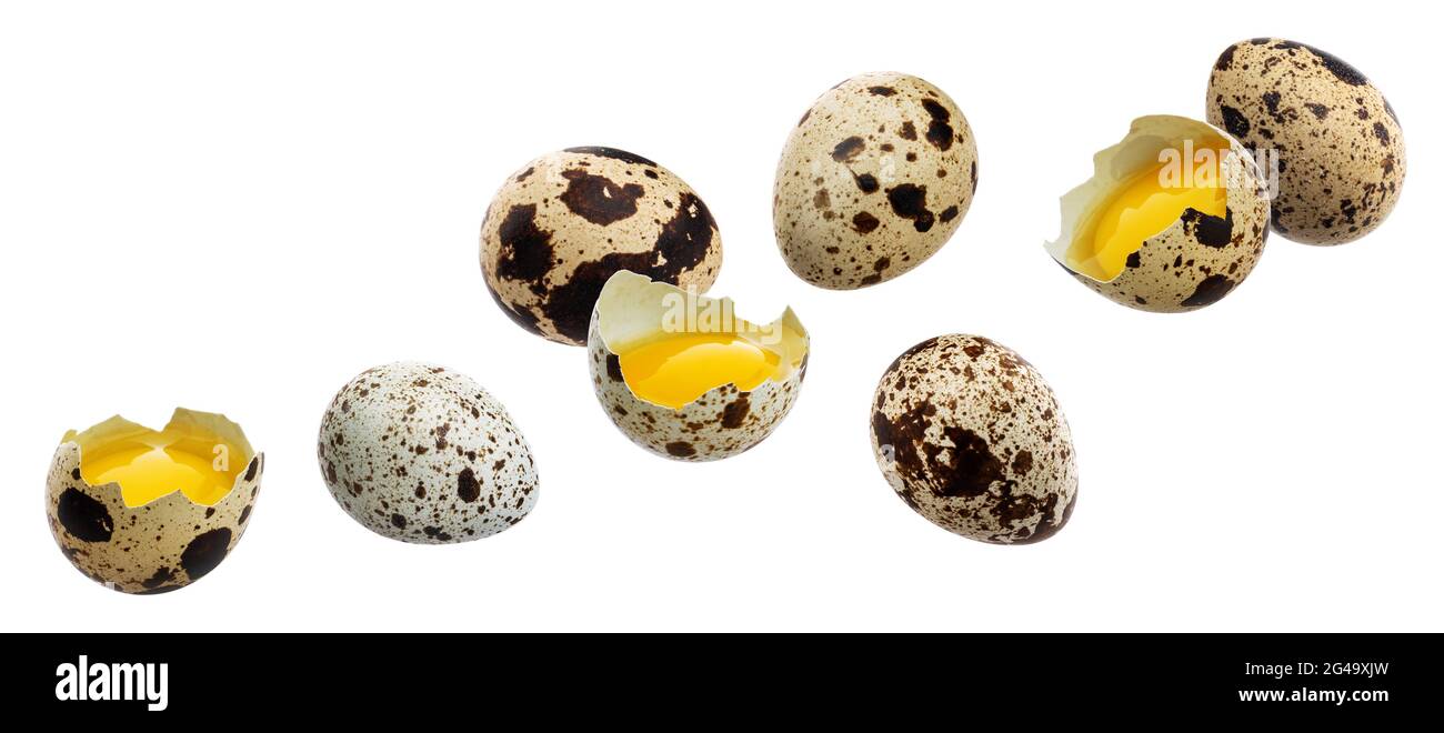 Falling quail eggs isolated on white background Stock Photo