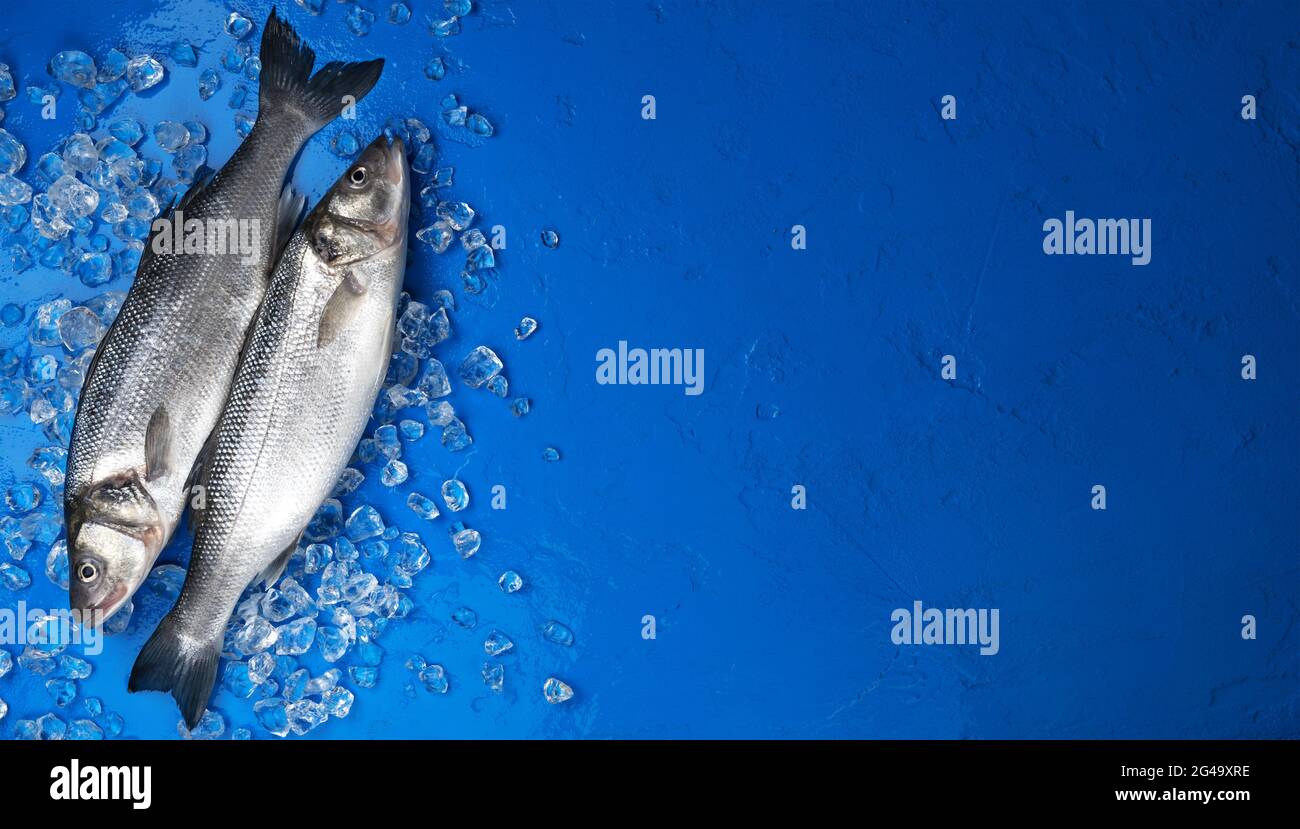 Blue fish food color hi-res stock photography and images - Alamy