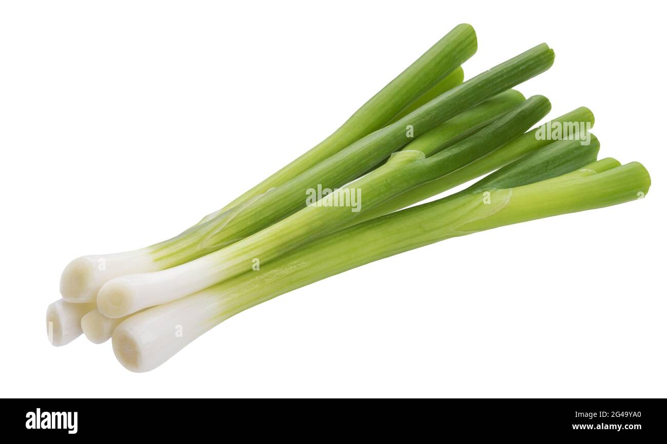 Green onion, fresh chives isolated on white background Stock Photo Alamy
