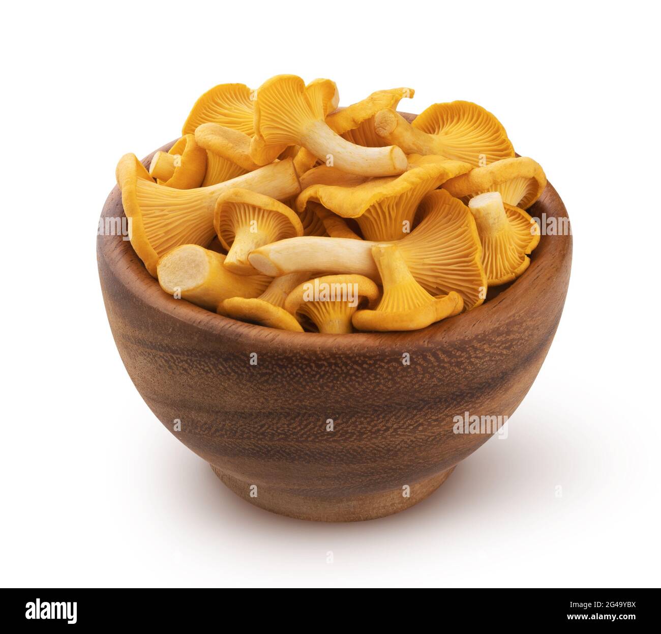 Fresh chanterelle mushrooms isolated on white background Stock Photo