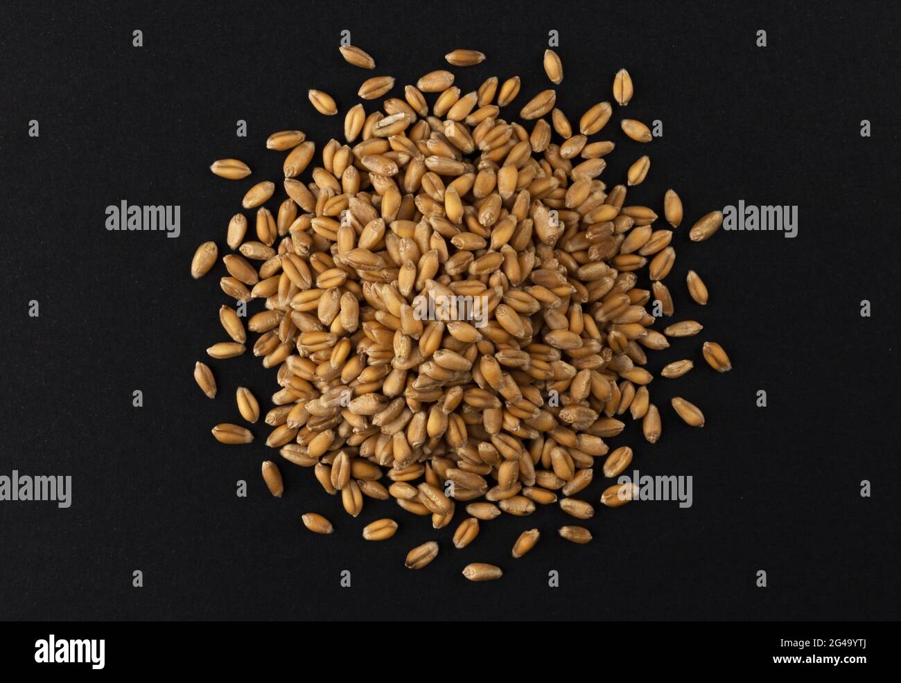 Black grains hi-res stock photography and images - Alamy