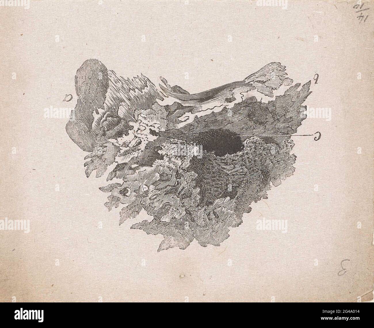 Part of the human body with a deviation Stock Photo - Alamy