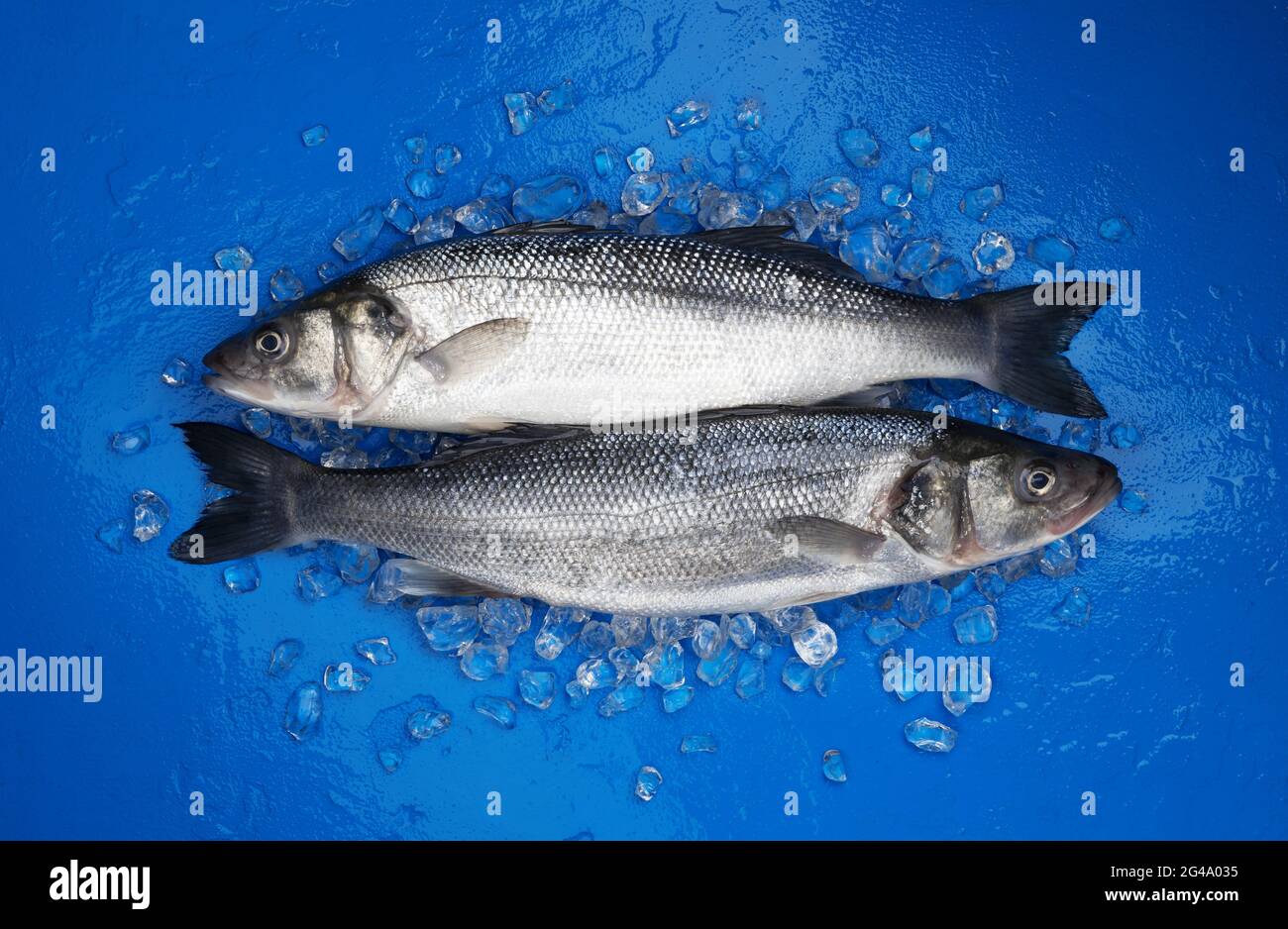 Blue fish food color hi-res stock photography and images - Alamy