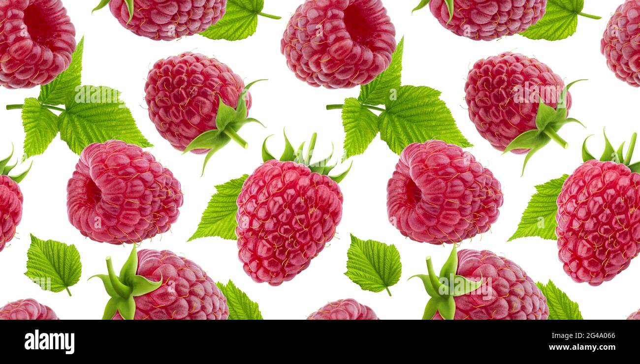 Raspberry seamless pattern isolated on white background Stock Photo