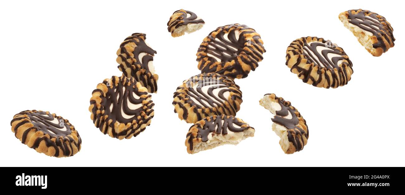 Chocolate coated cookies with milk filling isolated on white background Stock Photo Alamy