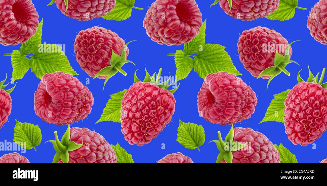 Raspberry seamless pattern isolated on blue background Stock Photo
