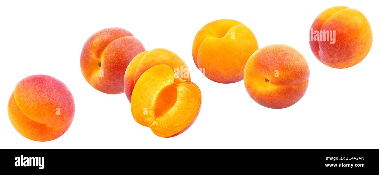 Apricots isolated on white background with clipping path Stock Photo