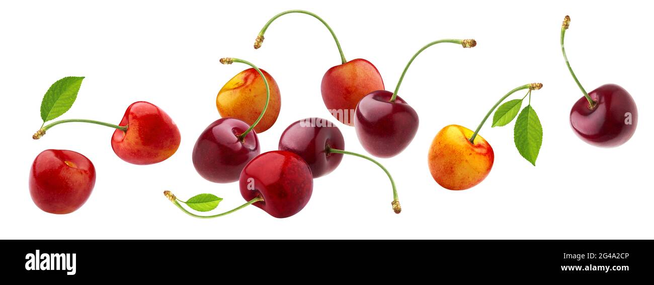 Cherry isolated on white background with clipping path Stock Photo