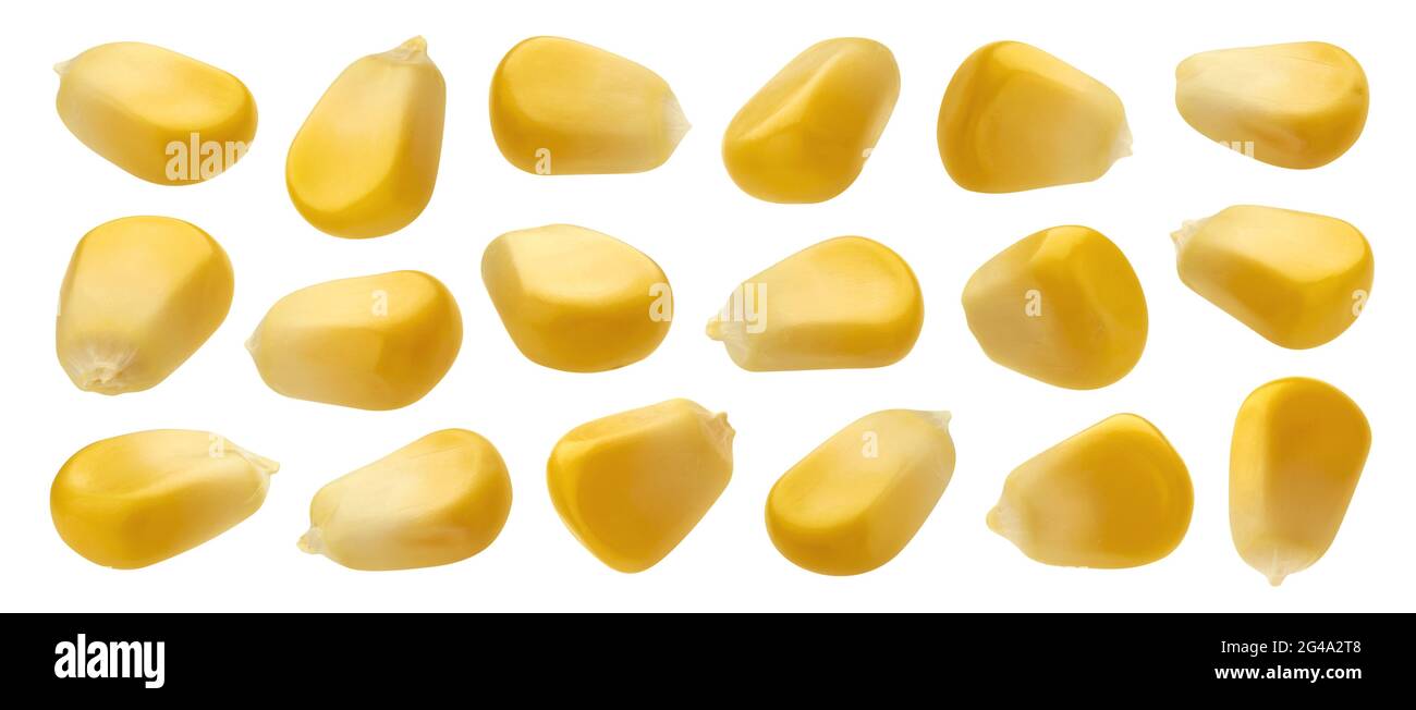 Fresh corn seeds isolated on white background with clipping path Stock Photo