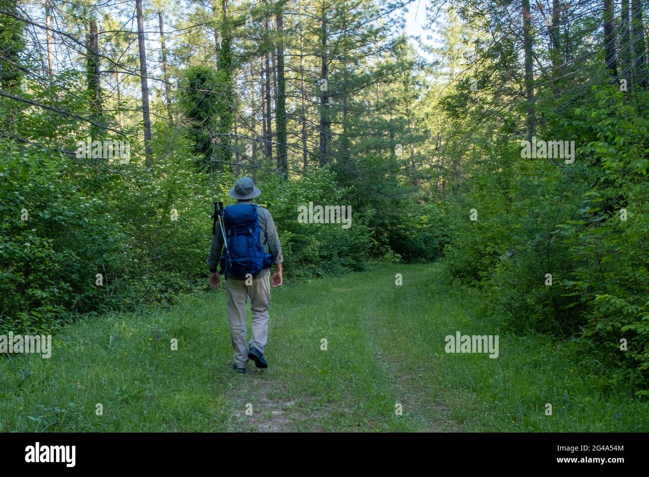 Man with backpack walking in the countryside. Podere Montebello, Modigliana, Forlì, Emilia Romagna, Italy, Europe. Stock Photo