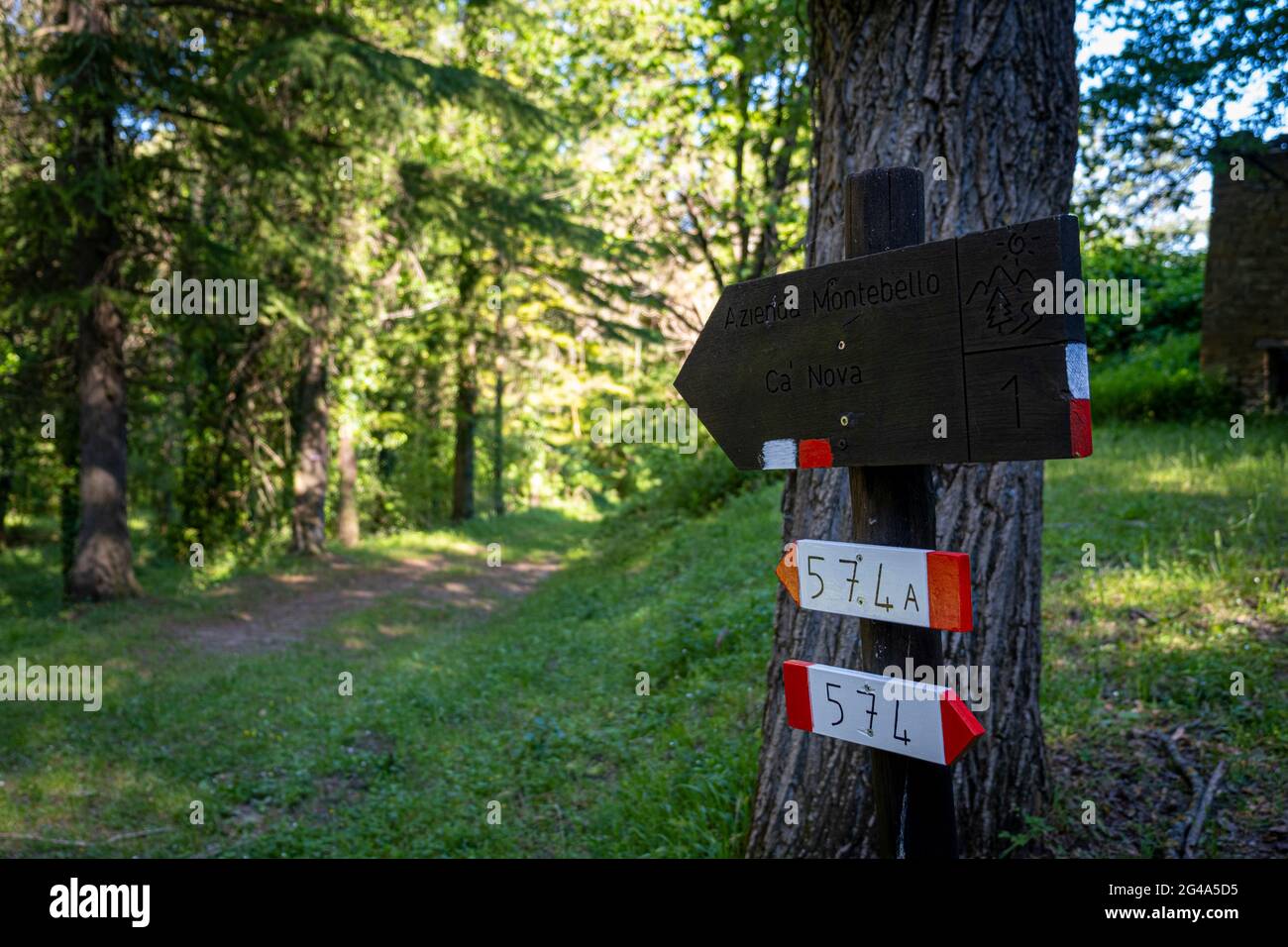 Podere Montebello, Modigliana, Forlì, Emilia Romagna, Italy, Europe. Stock Photo