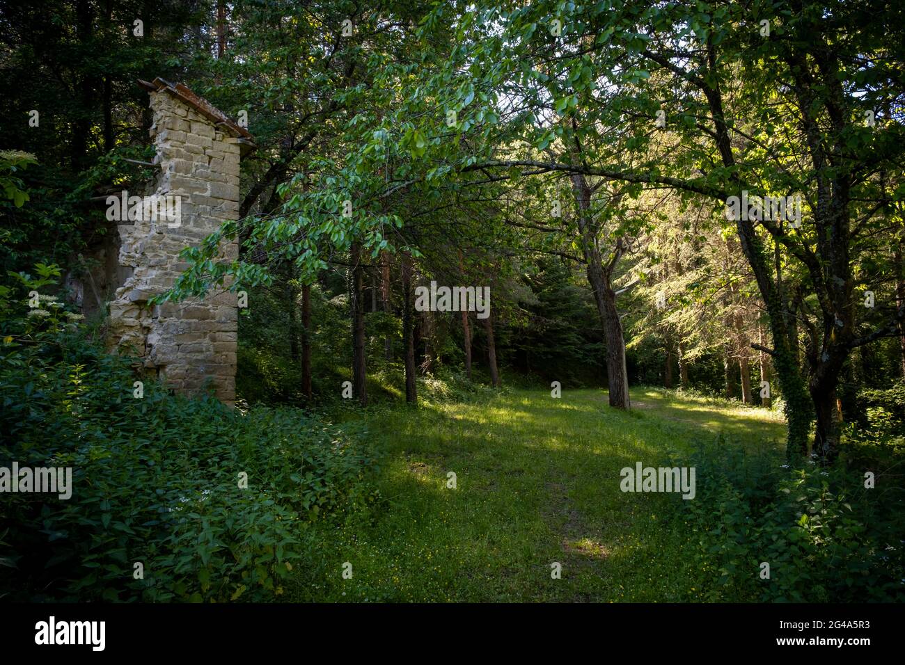 Ruins in the wood. Podere Montebello, Modigliana, Forlì, Emilia Romagna, Italy, Europe. Stock Photo