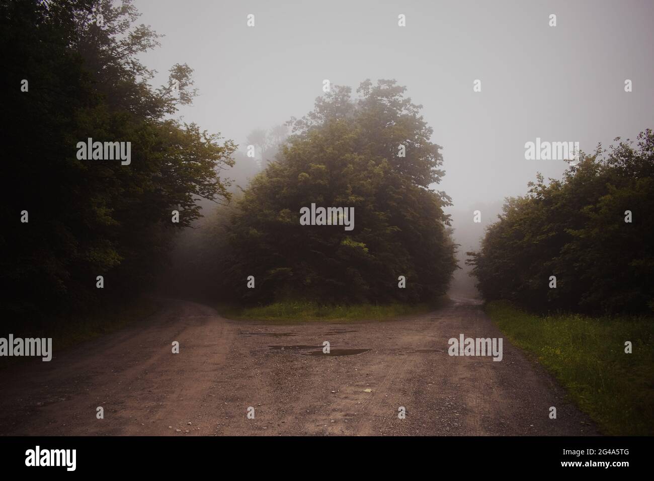 Mood captures hi-res stock photography and images - Alamy