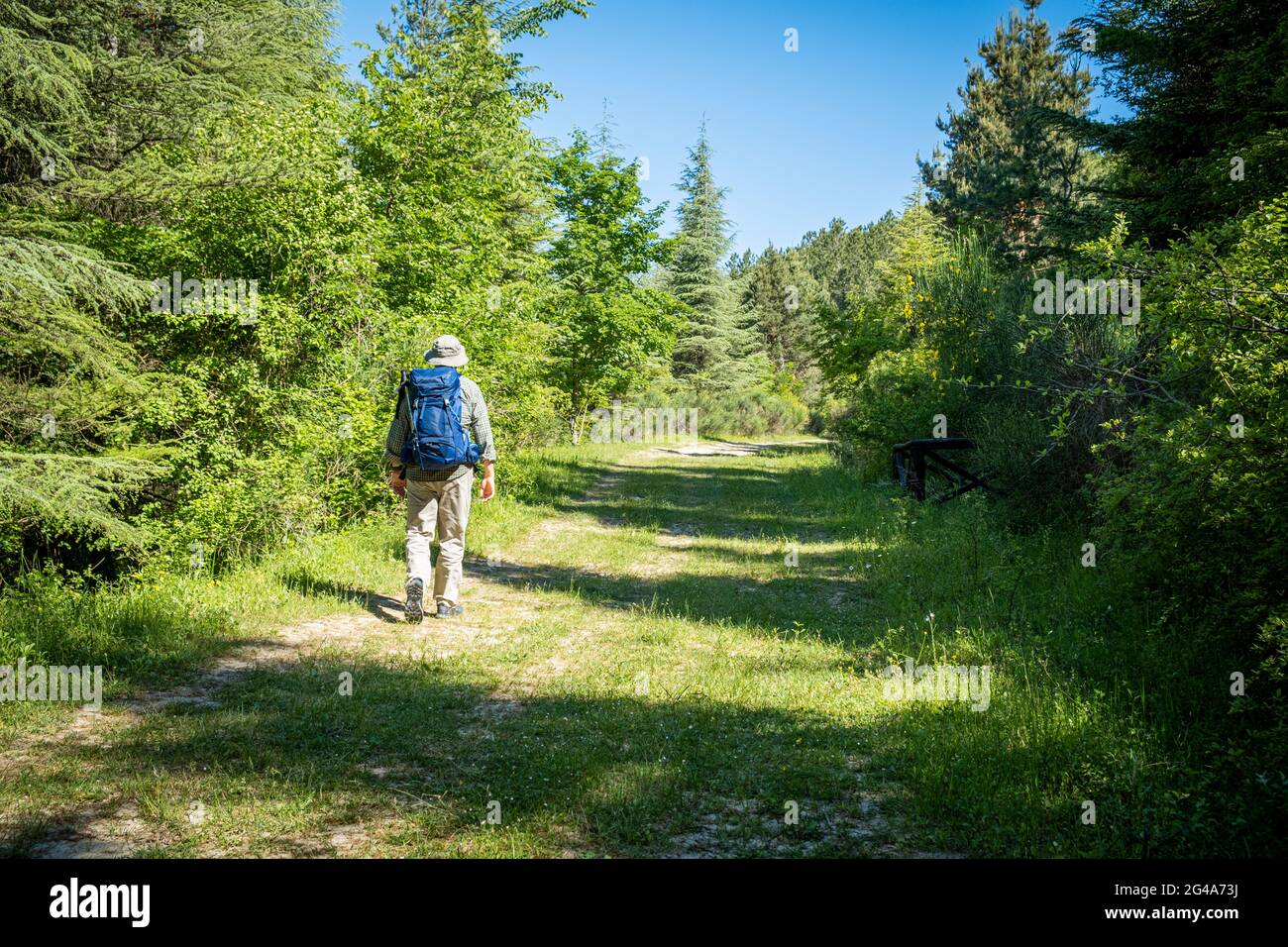 Man with backpack walking in the countryside. Podere Montebello, Modigliana, Forlì, Emilia Romagna, Italy, Europe. Stock Photo