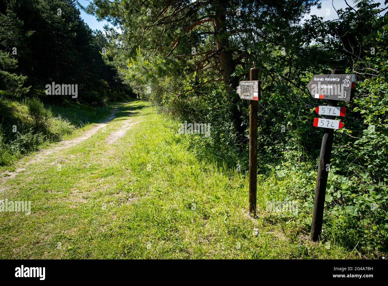 Podere Montebello, Modigliana, Forlì, Emilia Romagna, Italy, Europe. Stock Photo