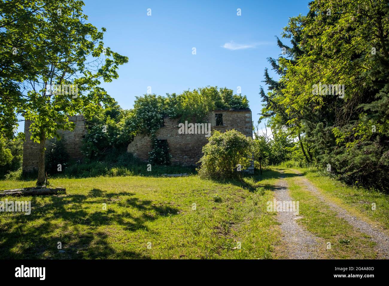 Podere Montebello, Modigliana, Forlì, Emilia Romagna, Italy, Europe. Stock Photo