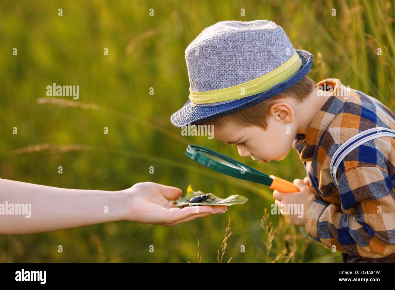 little boy exploring nature in the meadow with a magnifying glass Stock Photo
