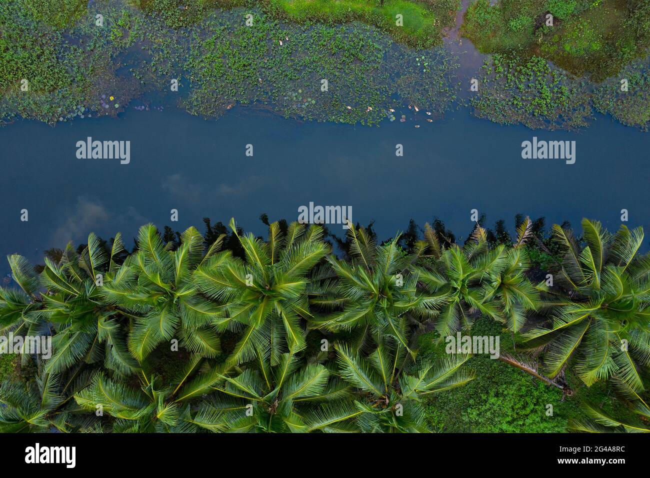 Backwaters of alapuzha and marari,KERALA Stock Photo