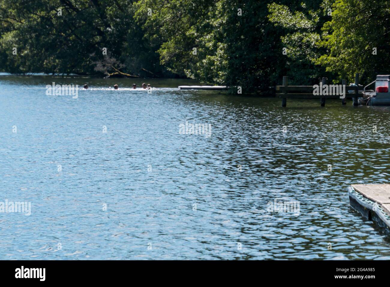 Denmark - June 16 2021: Water Polo by a lake near Beautiful blue with forest in the background Stock Photo - Alamy