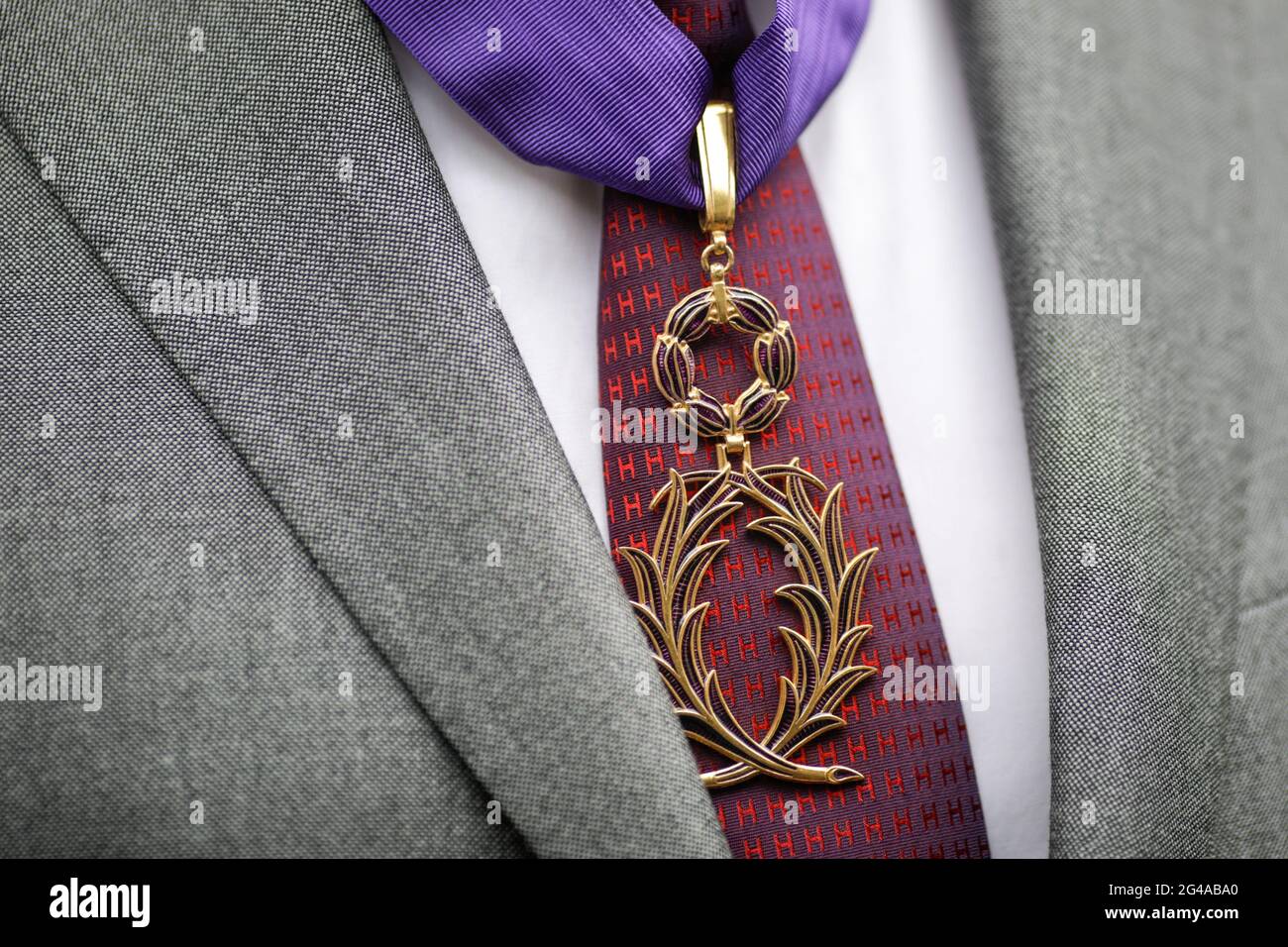 Bucharest, Romania - June 18, 2021: Details with the Ordre des Palmes Académiques (Order of Academic Palms), an order of knighthood of France for acad Stock Photo