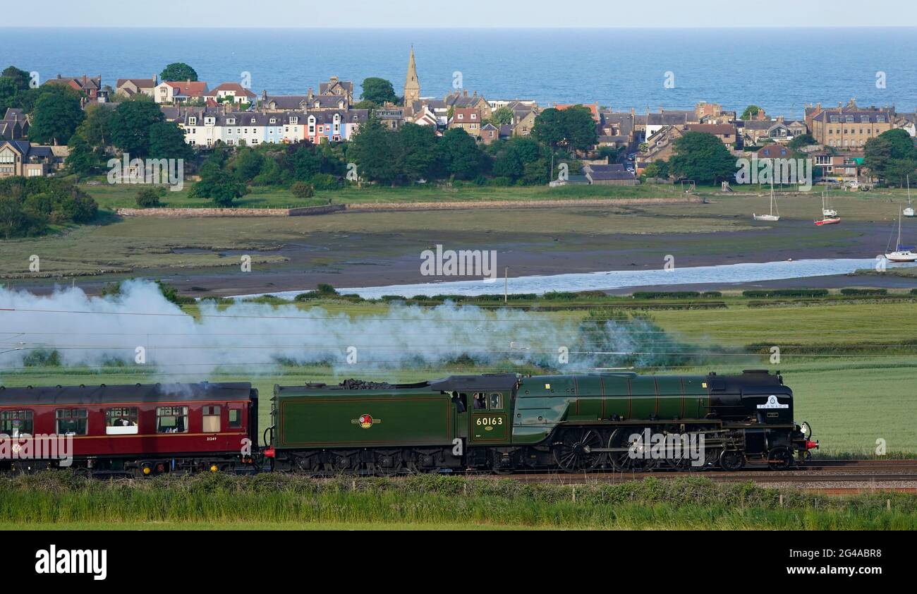 Rikoページ LNER Peppercorn A1 60163 'Tornado' Returns to Traffic