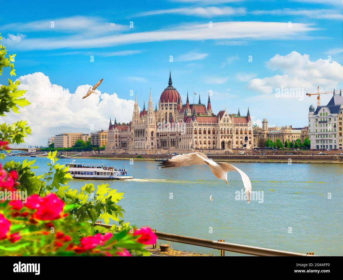Flowers and leaves near Parliament in Budapest at sunset, Hungary Stock Photo