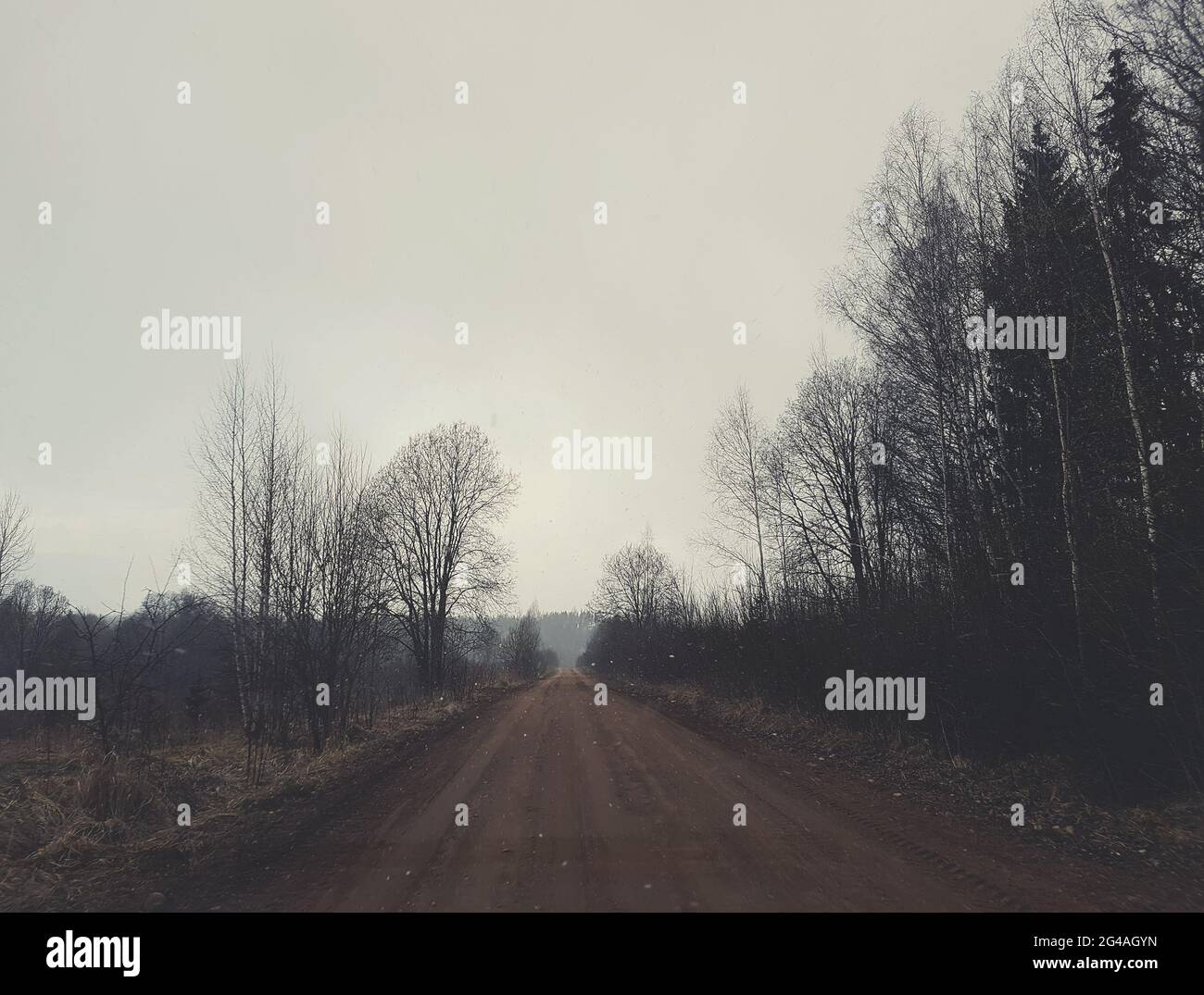 Landscape with asphalt road and forest at winter Stock Photo - Alamy