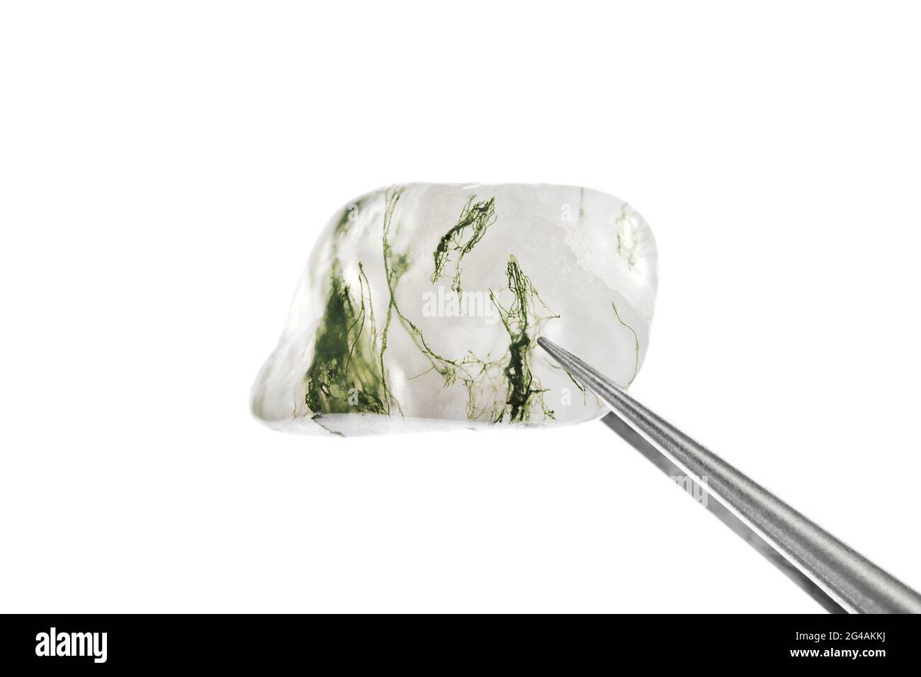 Moss Agate Jewel Stone Texture In Tweezers On White Light Isolated Background Macro Closeup Stock Photo Alamy