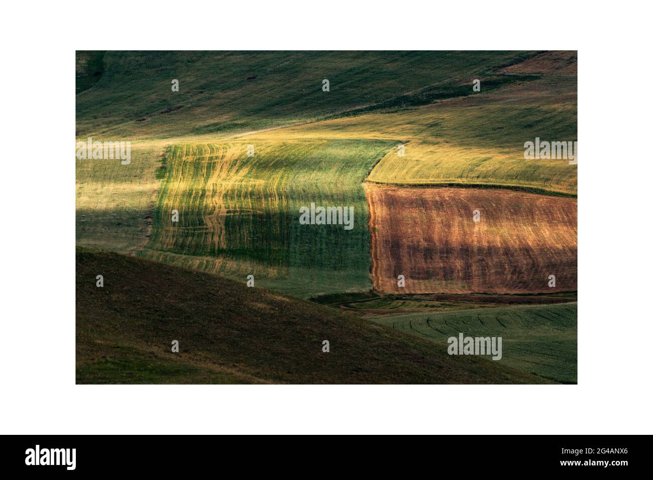 Cultivated farm fields above view. Artistic photo bringing good luck Stock Photo