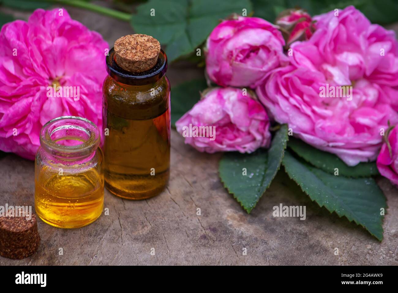 Close-up of rose essential oil bottle with falling leaves on wooden background. Stock Photo