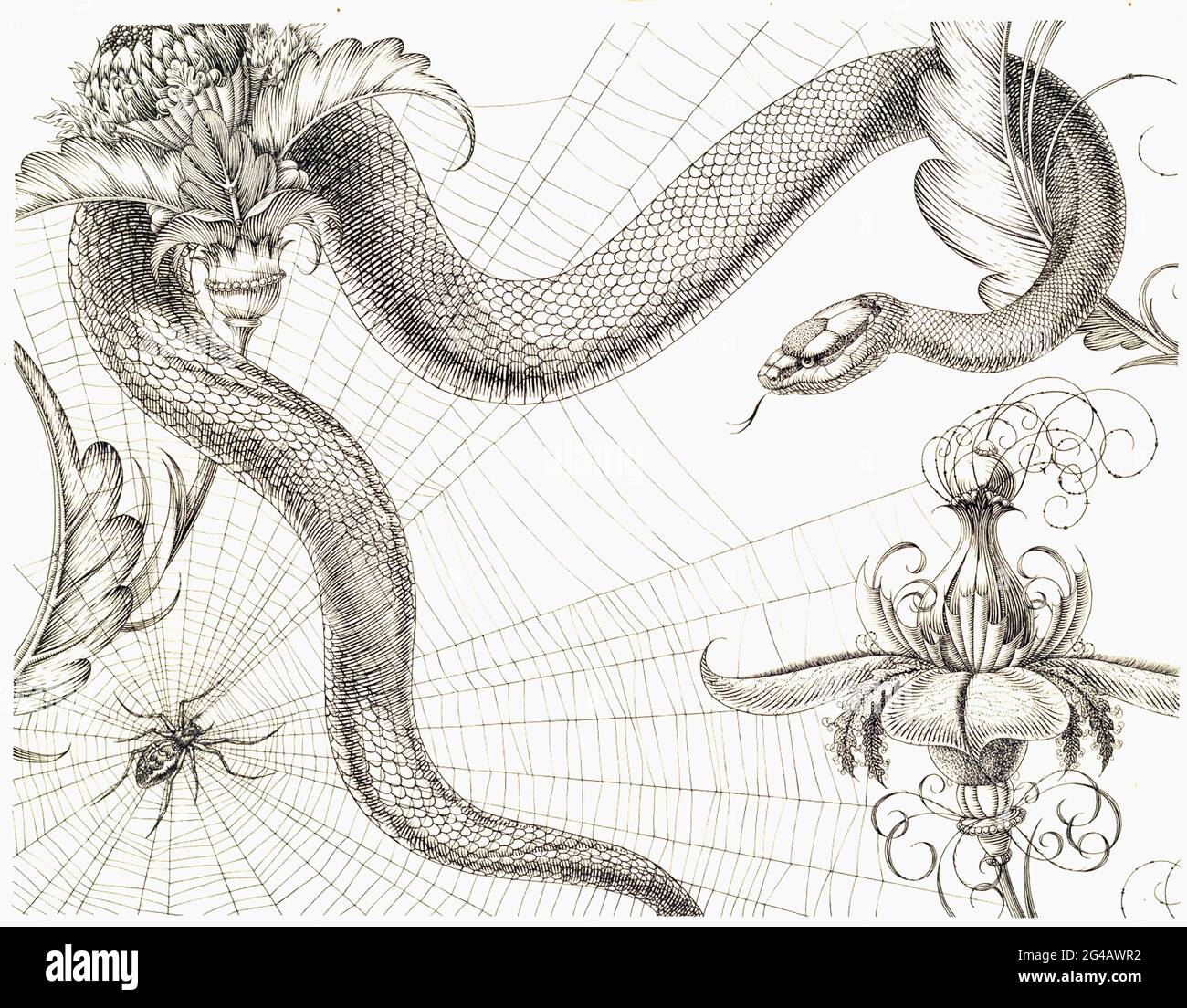 Henry Weston Keen - Spider, Web, Snake and Flowers - The Duchess of Malfi - c1930 Stock Photo