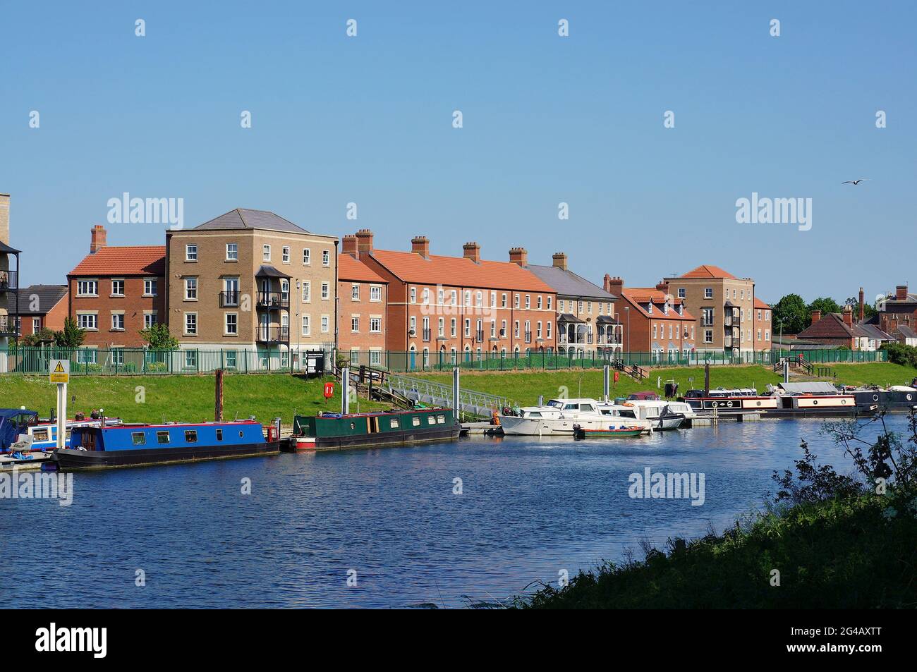 Modern apartment buildings and boats along Witham bank on a sunny summer's day. Stock Photo