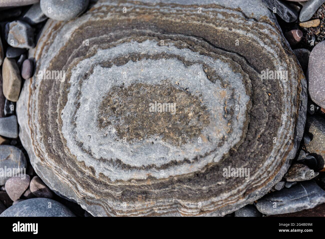 Round grey stone with a concentric circles pattern, view from above, Cornwall, England, UK Stock Photo