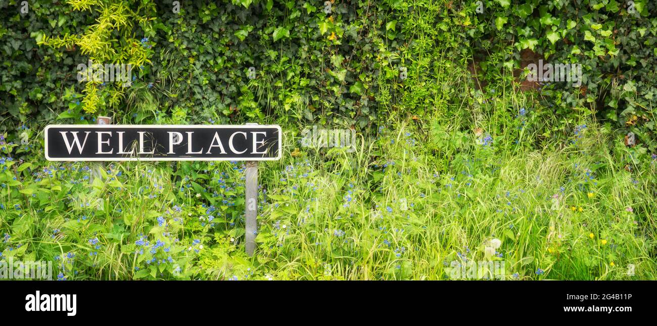 Well Place sign on background of wild plants and flowers  - concept image Stock Photo
