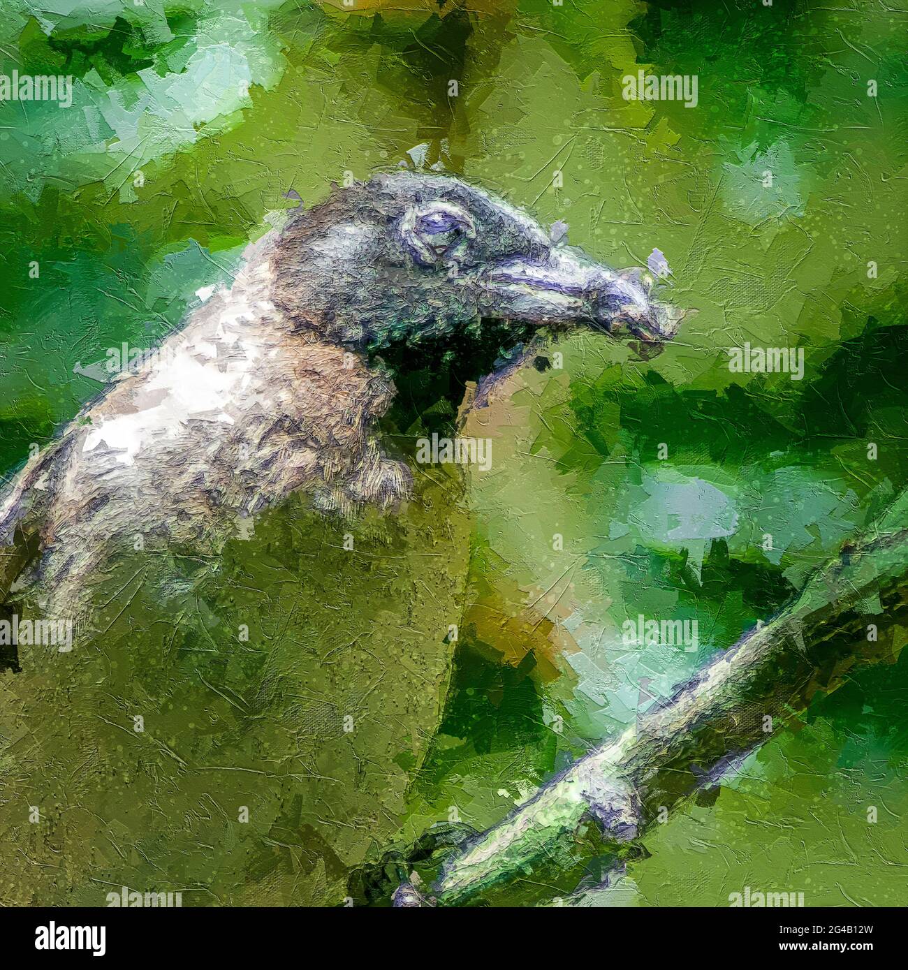 Digitally enhanced image of a Yellow-vented Bulbul (Pycnonotus xanthopygos) parent carries food in its mouth to bring back to the nest Photographed in Stock Photo