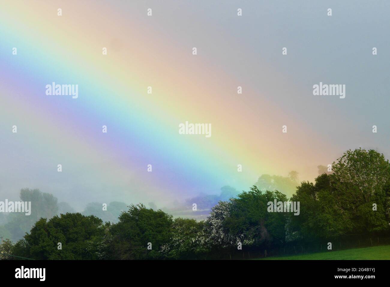 A Rainbow over a hedgerow, Aspatria, Cumbria, England, United Kingdom Stock Photo