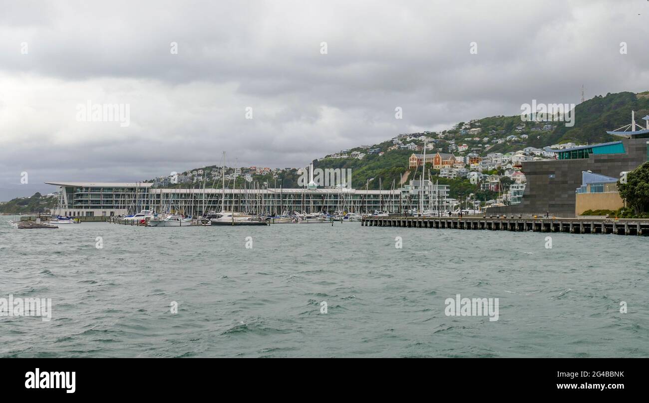 Oriental Bay at Wellington, the capital city of New Zealand Stock Photo