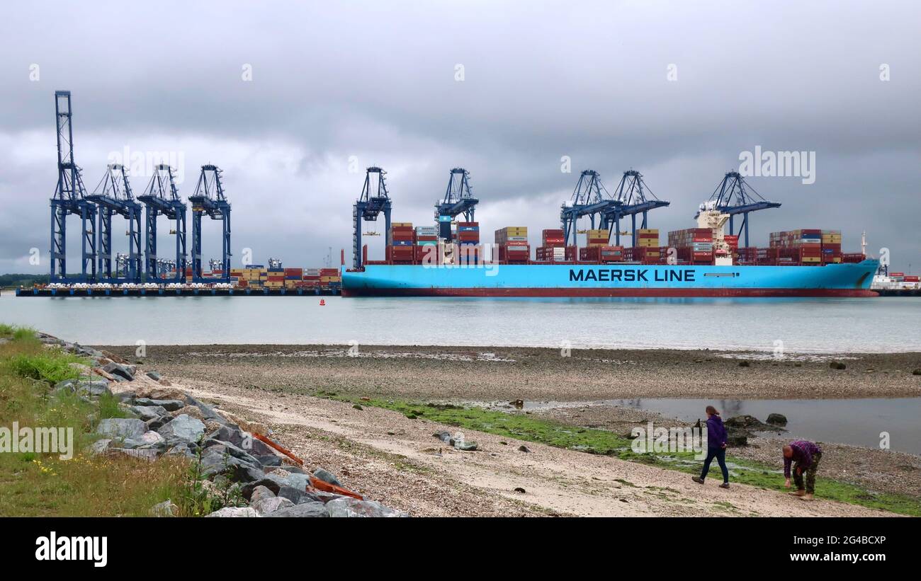Shotley Gate, Suffolk - 20 June 2021: Maersk Line Herrera cargo container ship docked in the port of Felixstowe. Stock Photo