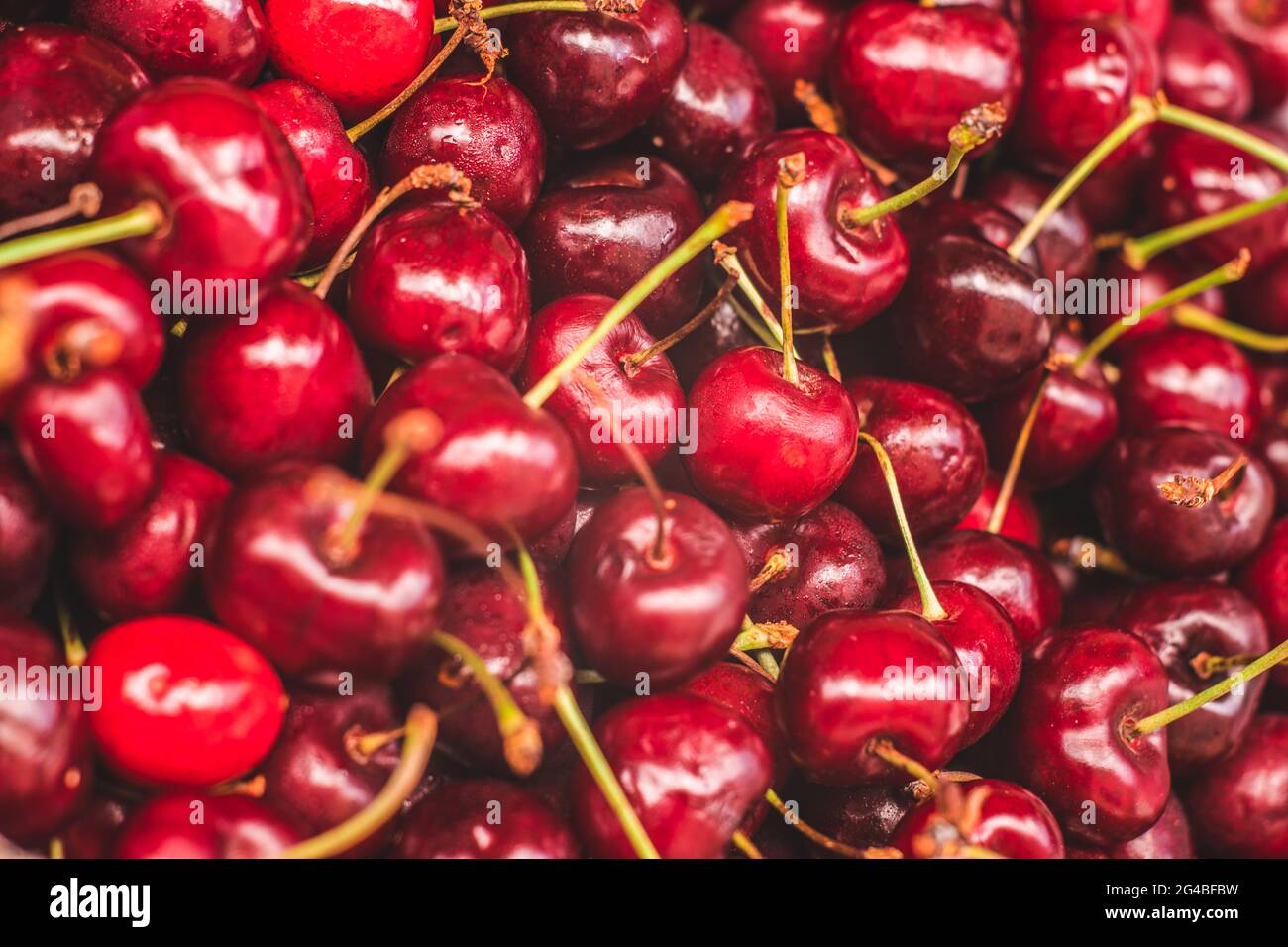 Cherries red and colorful sweet fruits Stock Photo