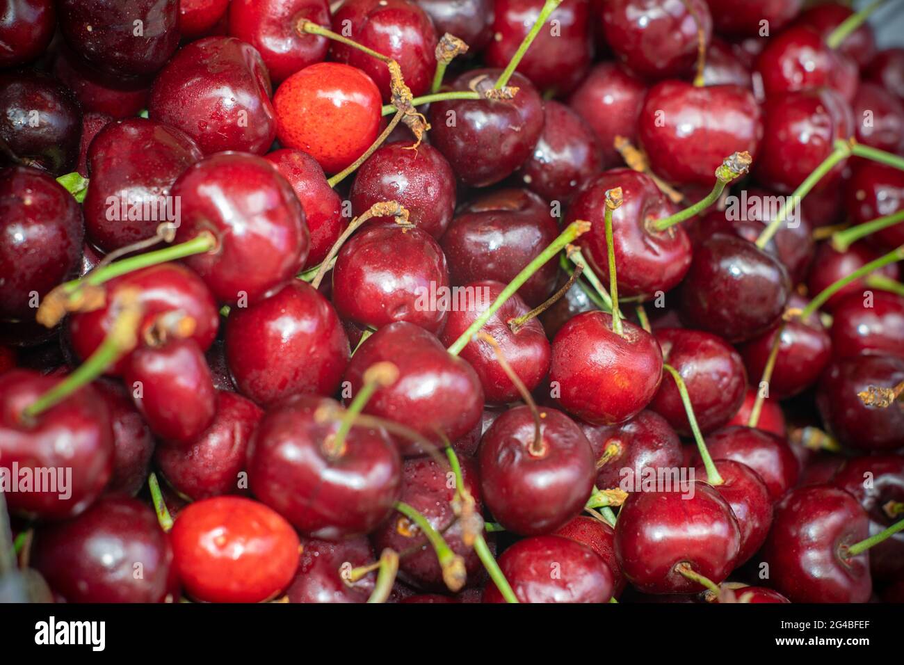 Cherries red and colorful sweet fruits Stock Photo