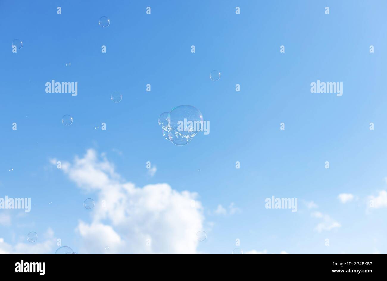 abstract background with shiny transparent soap bubbles Stock Photo