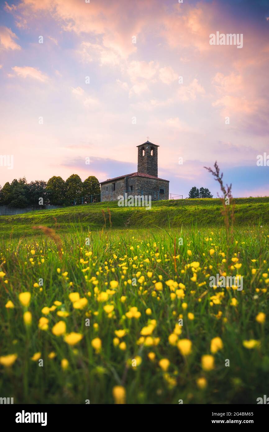 Landscape with a field of flowers in a foreground and a old church in the background. Garbagnate Monastero, Lecco, Italy. Stock Photo