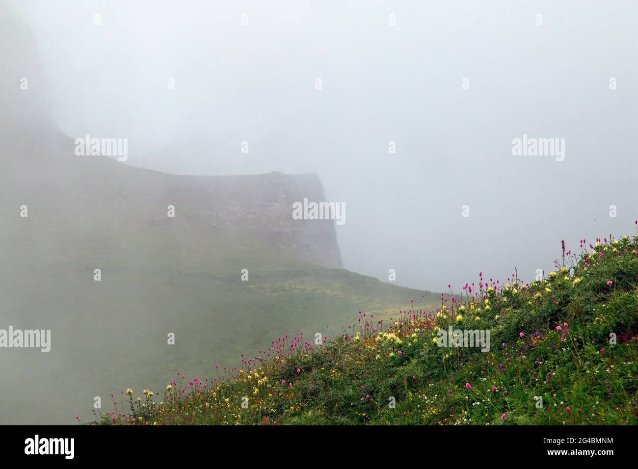 Sunrise over misty forest mountain hi-res stock photography and images ...