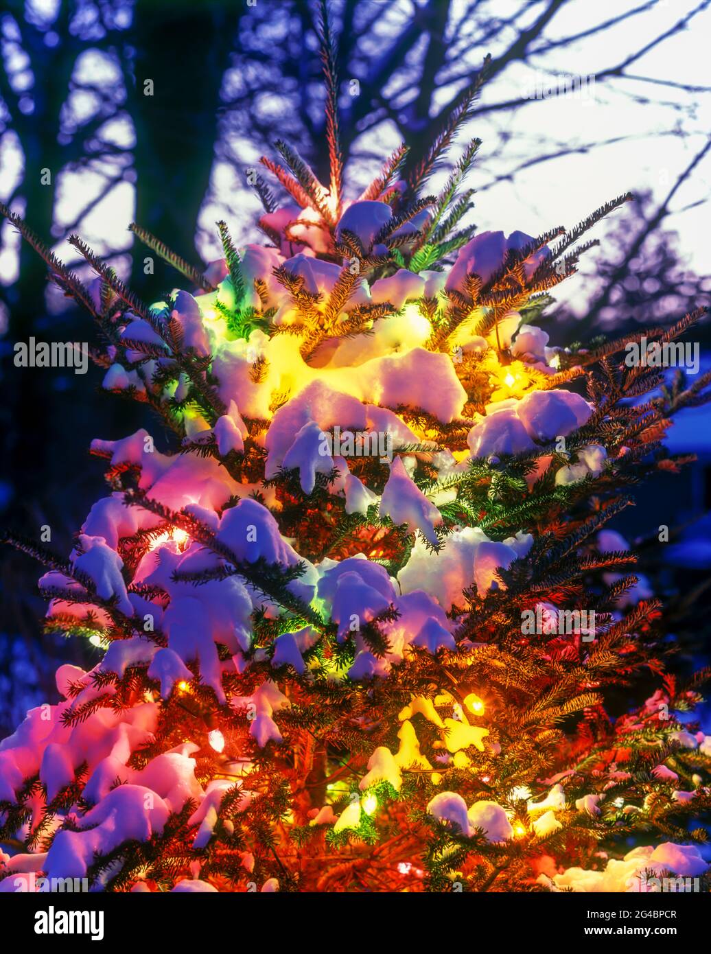Joyce Wa Christmas Tree Lighting 2022 Christmas Lights House Outside High Resolution Stock Photography And Images  - Alamy