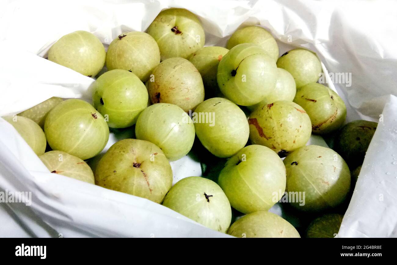 Pile of fresh indian gooseberry (Phyllanthus emblica), also known as emblic, emblic myrobalan, myrobalan, Malacca tree, or amla fruit Stock Photo