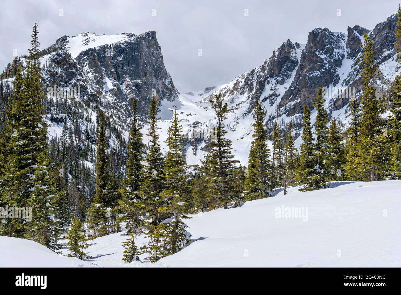 Spring Mountains - A closeup view of Hallett Peak and Flattop Mountain, surrounded by snow and forest, in Rocky Mountain National Park, Colorado, USA. Stock Photo