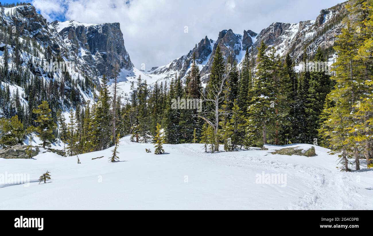 Snow Mountains - A panoramic Spring view of Hallett Peak and Flattop Mountain, surrounded by white snow and green forest, in RMNP, Colorado, USA. Stock Photo